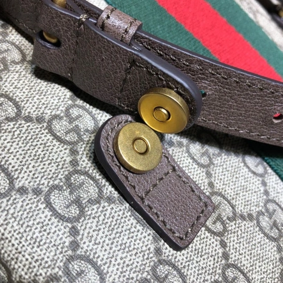 Hyper Peter Gucci Ophidia backpack GG medium 0728